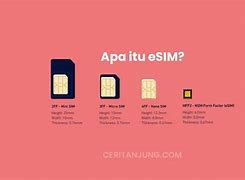 Apakah Tri Ada Esim